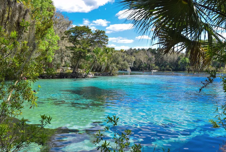 Ocala National Forest