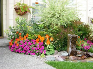 a small garden with orange and purple flowers